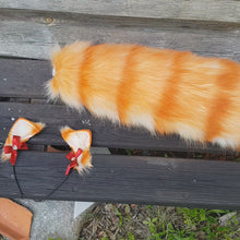 Load and play video in Gallery viewer, Orange Tabby kitten set
