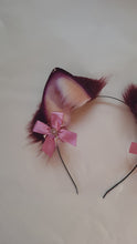 Load and play video in Gallery viewer, Burgundy Cat
